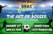 The Art of Soccer